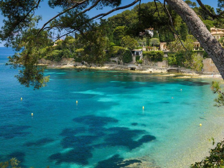 Nature & Scenic Landscapes
