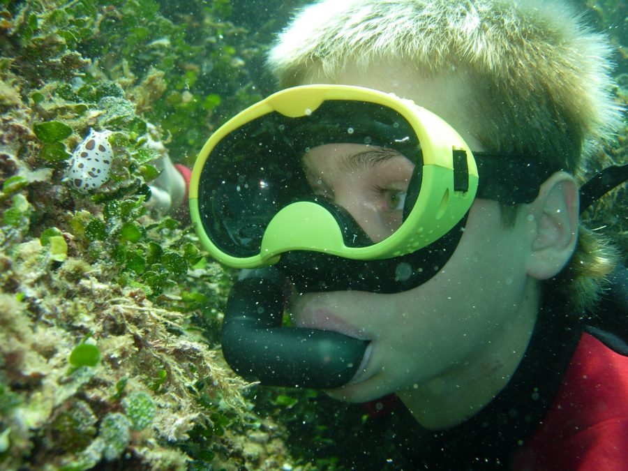 Snorkeling