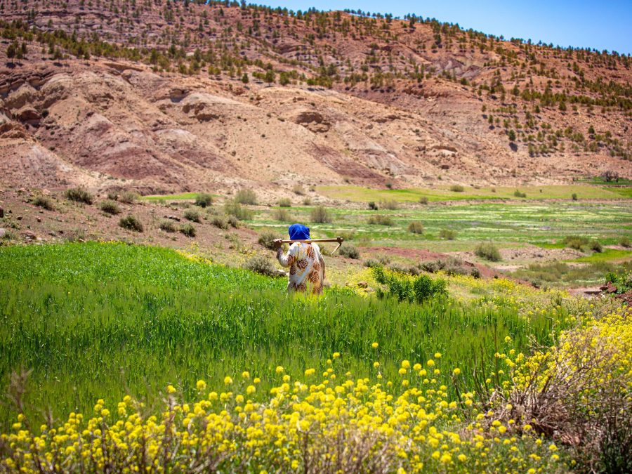 Second day in Ouarzazate - the hidden oasis of Fint