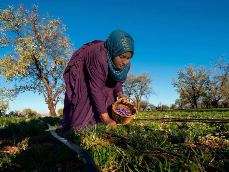 Craft villages & Taroudant